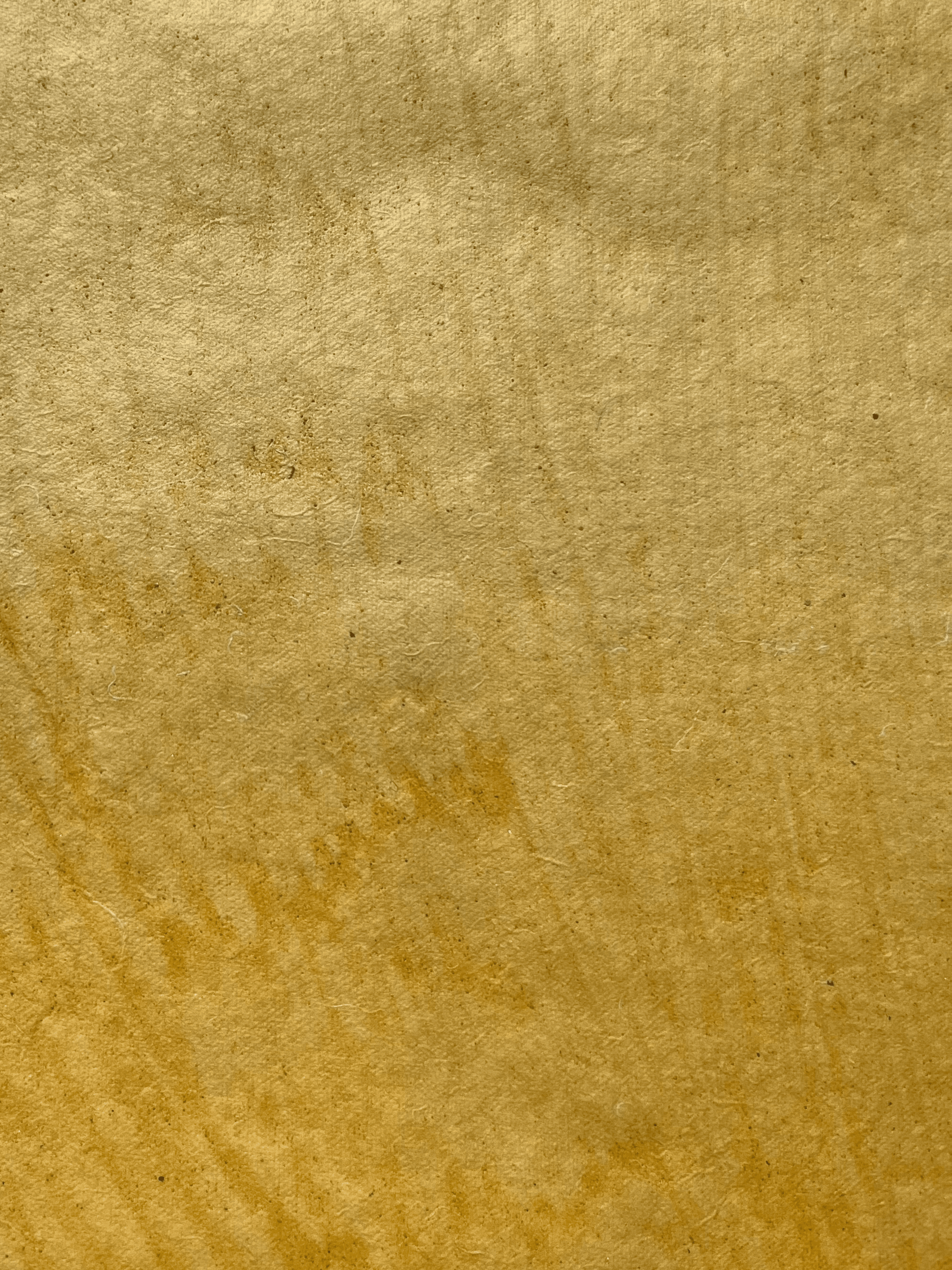 Yellow Mustard