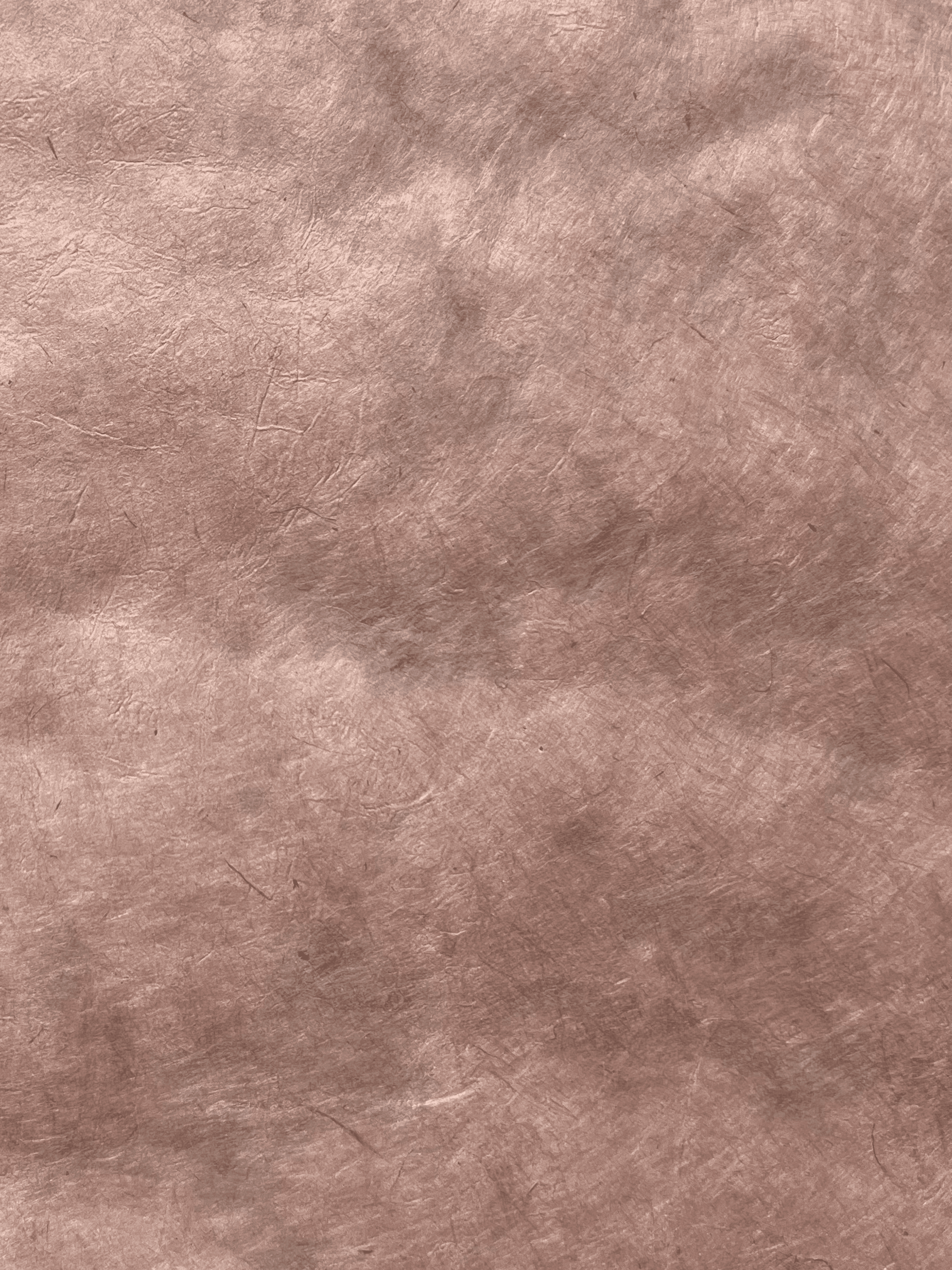 Salmon Pink